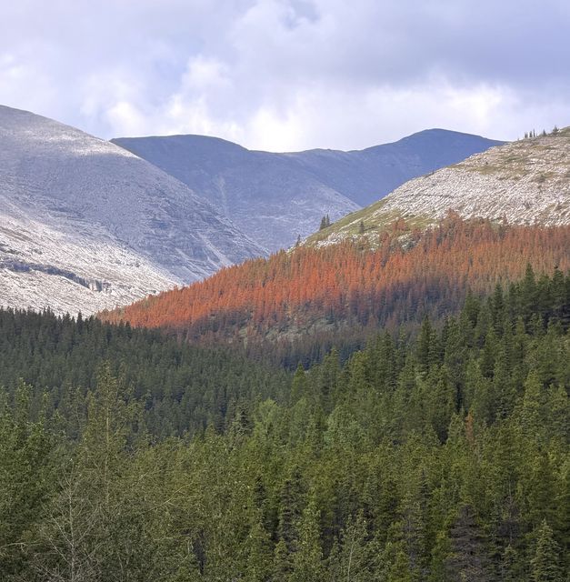 Sunlit orange ridge above Summit Lake