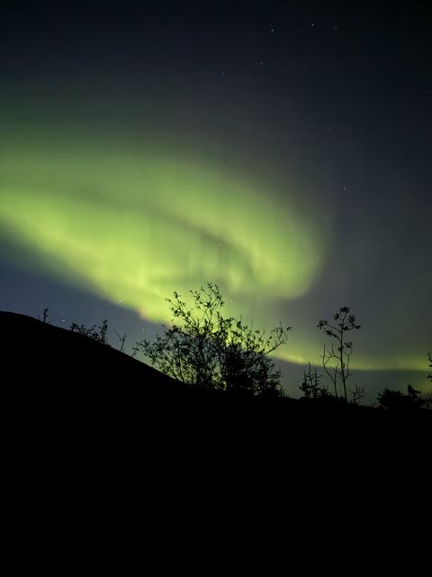 Aurora Over Stone Mountain Provincial Park