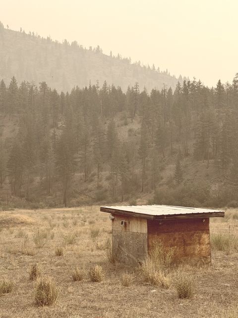 Weathered Shed in Smoky South Nicola Valley