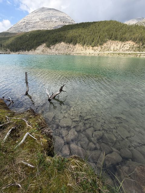 Turquoise Shore at Summit Lake
