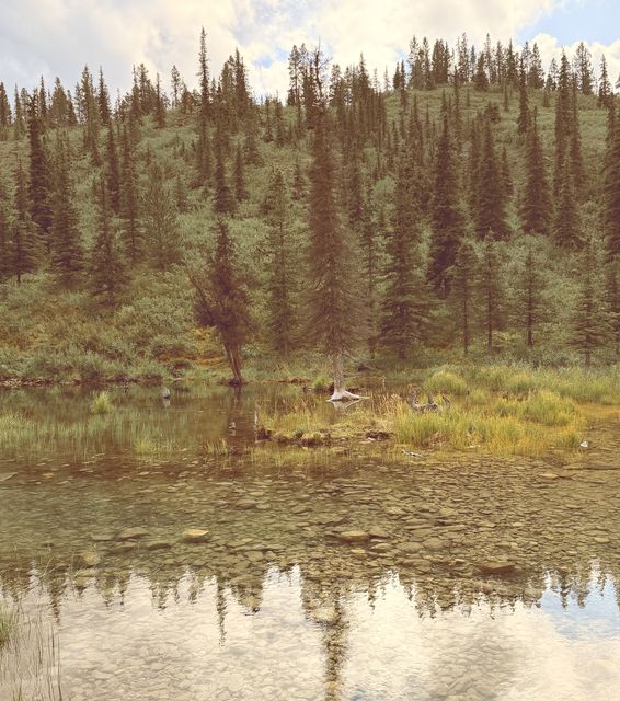 August Reflections in Northern Rockies BC