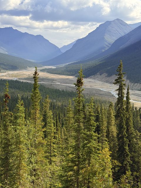Braided River Valley in Northern Rockies BC