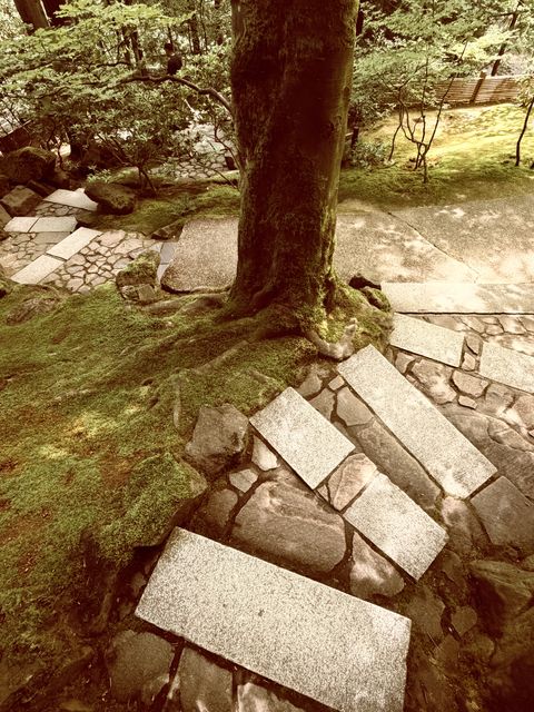 Mossy Stone Steps at Arlington Heights