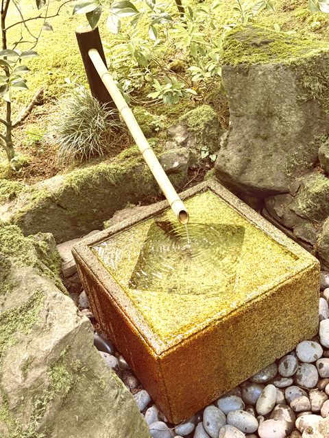 Mossy Stone Basin with Bamboo Spout