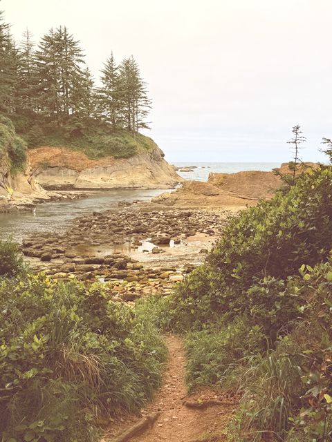 Coos County Hidden Tidepool Path