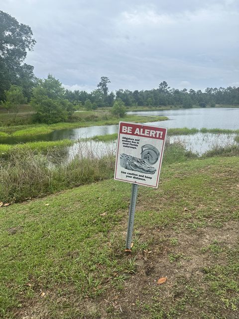Alligator warning sign at Taqueria Miranda