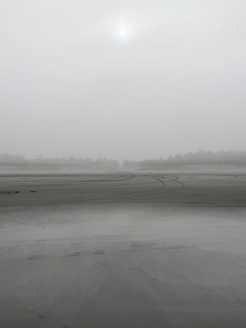 Tire Tracks on Foggy Sunset Beach