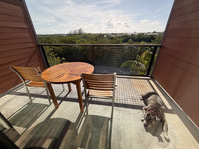 Dog Napping on Perry Hotel Balcony