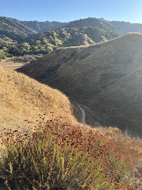 Golden Ridge Trail above Santa Clarita