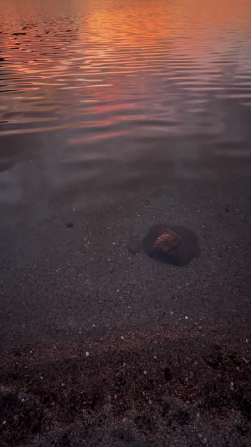 Mohave Shoreline at Sunset