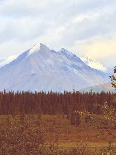 Autumn Peaks Above Summit, Alaska