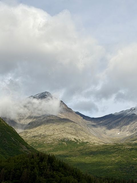 Mist-Crowned Peak Above Cantwell
