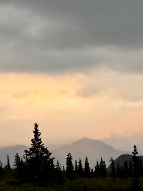 Golden Mist Over Denali Peaks