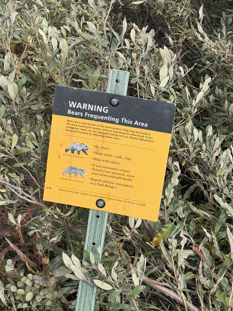 Bear Warning Sign at Denali