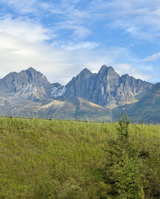 Jagged Peaks Above Palmer Hay Flats