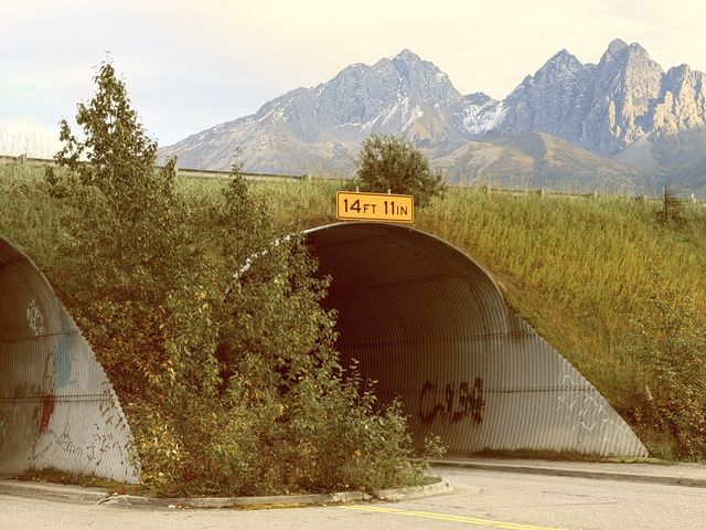 Palmer Hay Flats State Game Refuge, Alaska