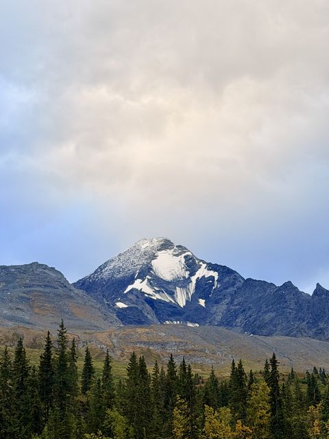 Ptarmigan Peak at Timberline