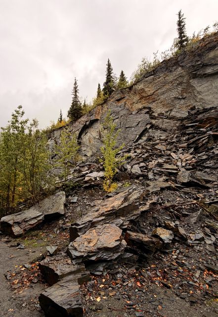 Slate Scree Beneath Spruce Ridge
