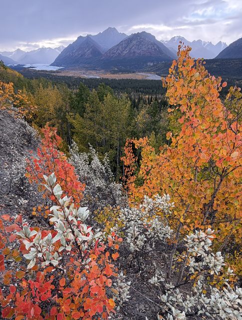 Autumn Over Matanuska Glacier
