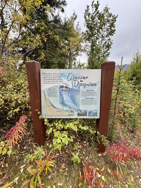 Glacier in Disguise Interpretive Sign