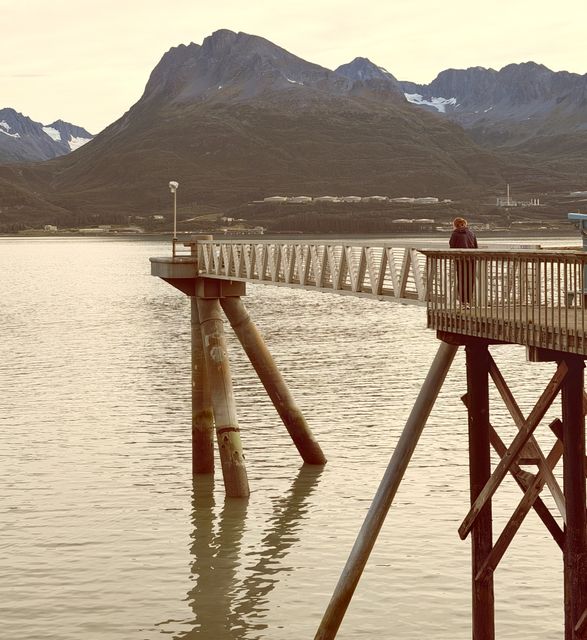 Solitary Watcher on Valdez Pier