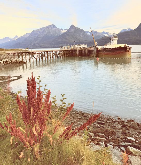 Valdez Pier, Mountains and Freighter