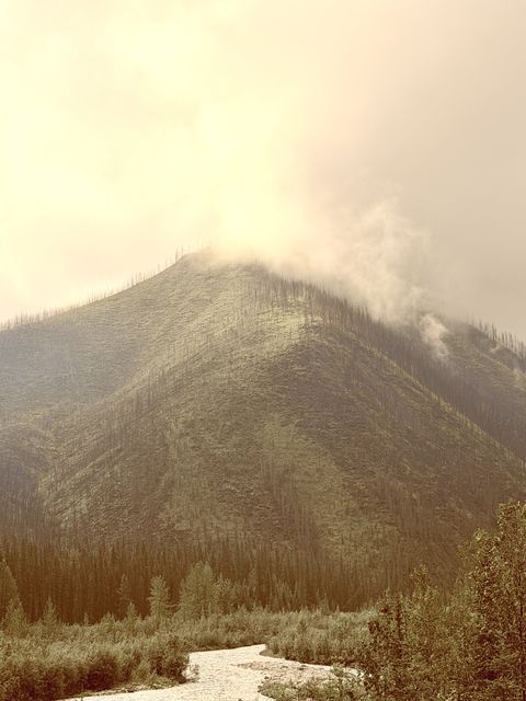 Mist-shrouded ridge above creek Northern Rockies British Columbia