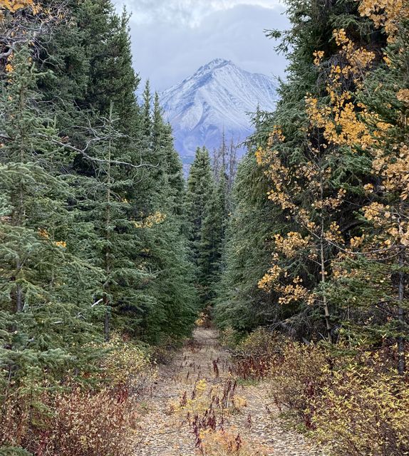 Aspen-framed Peak at Kloo Lake