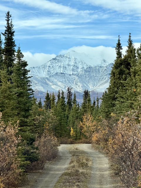 Kloo Lake Road to Snowy Peak