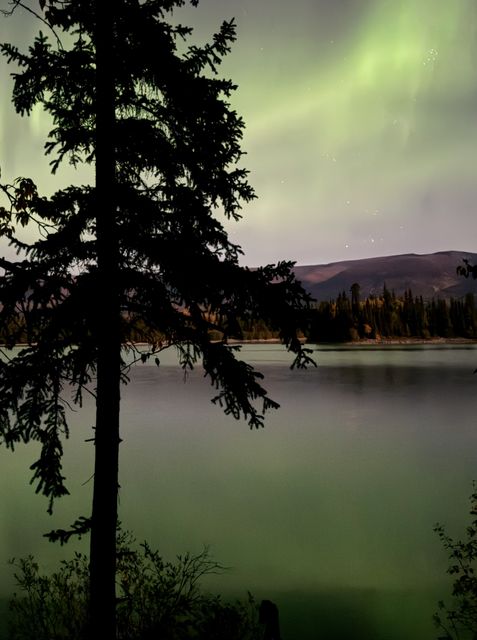 Aurora Over Boya Lake Campground