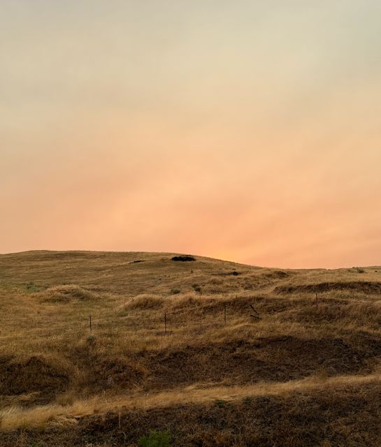 Golden Sunset on Columbia Plateau Trail