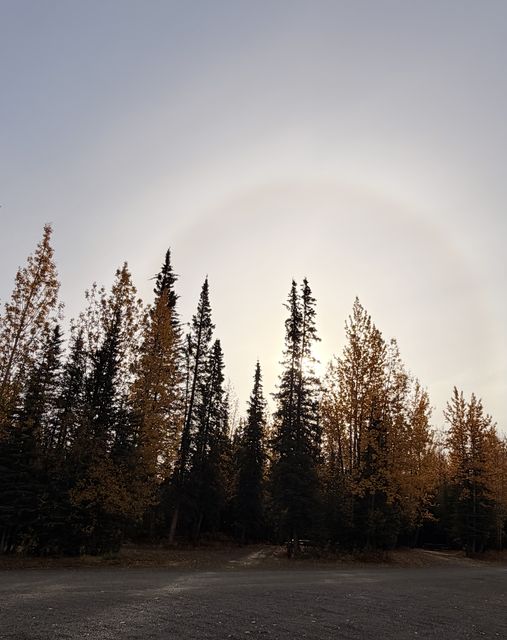 Sun Halo at Lake Creek Campground