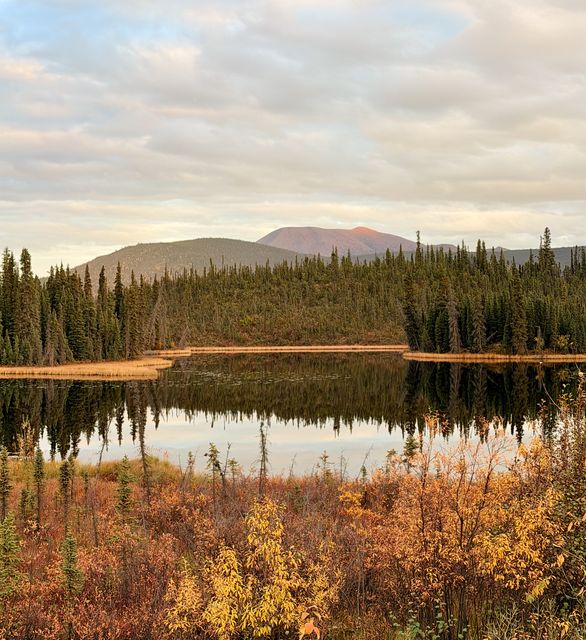 Autumn Reflection on Yukon Lake