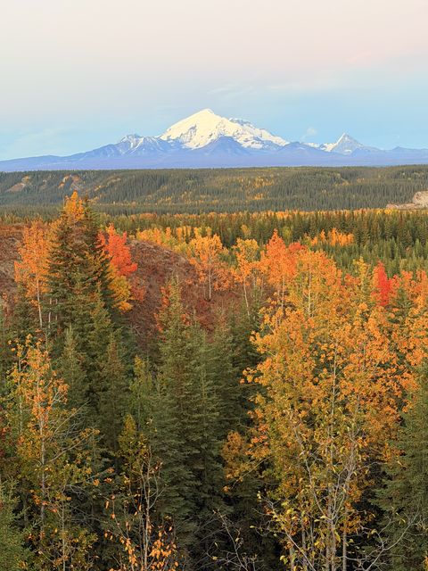 Copper Center Aspens and Mount Sanford