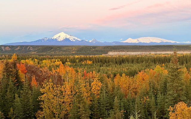 Copper Center Autumn Panorama