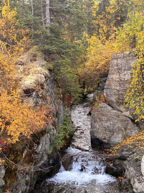 Ptarmigan Gorge in Autumn
