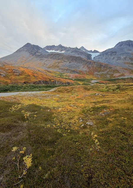 Ptarmigan Glacier and Tundra