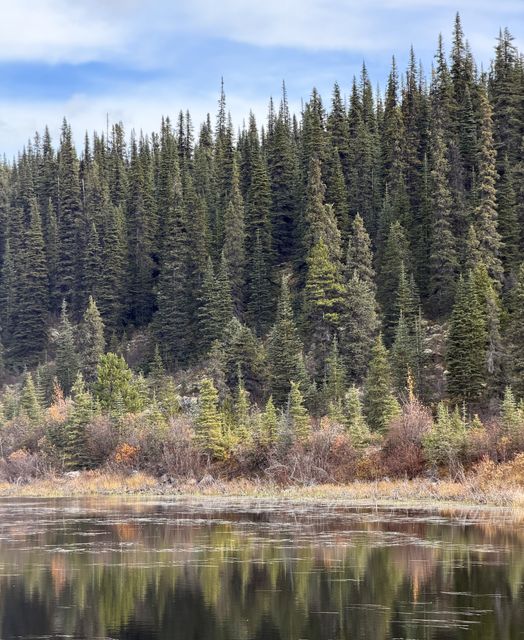 Autumn Spruce Reflections, Dease Lake