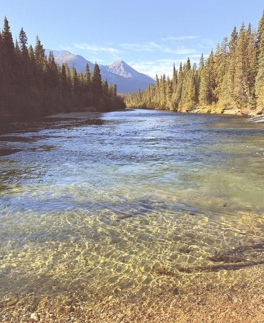 Sunlit River at Jade City