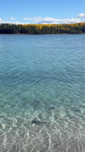 Turquoise Shore at Boya Lake