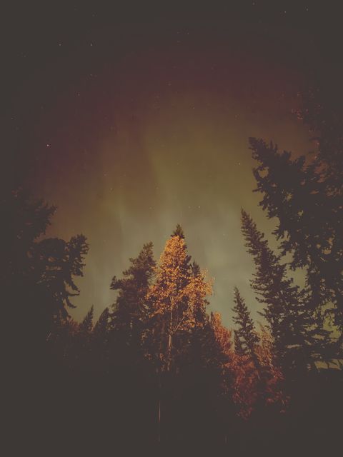 Aurora Glow Above Tā Ch’ilā