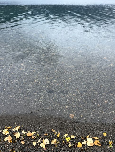 Autumn Leaves on Tatogga Shore