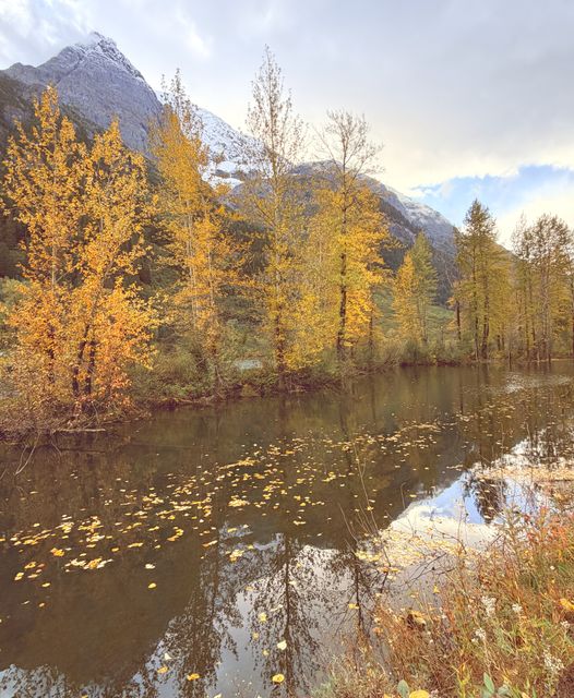 Nass Valley Autumn Reflections