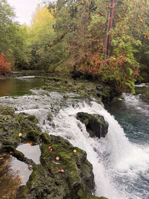 Mossy Cascade at Bell Irving