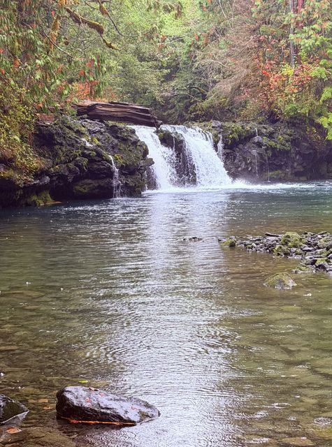 Bell Irving Twin Falls