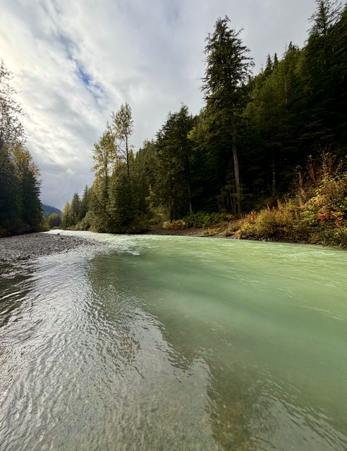 Nass River at Bell Irving