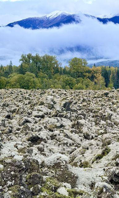 Lichen-draped Lava Field, Nass Valley