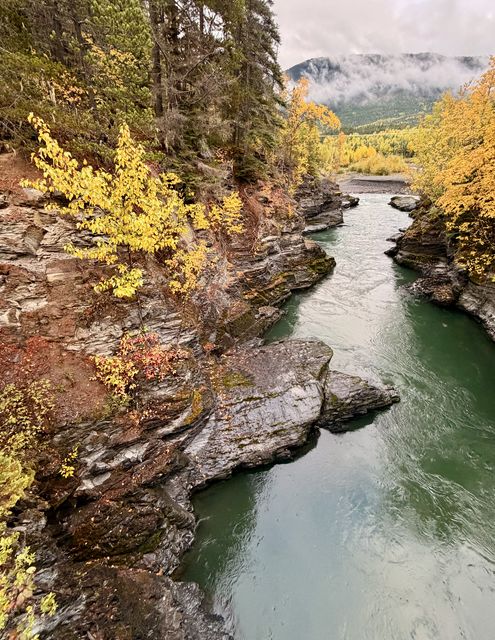 Bell Irving Autumn Gorge