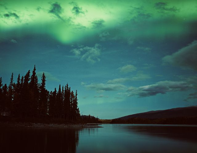 Northern Lights Over Pine Lake