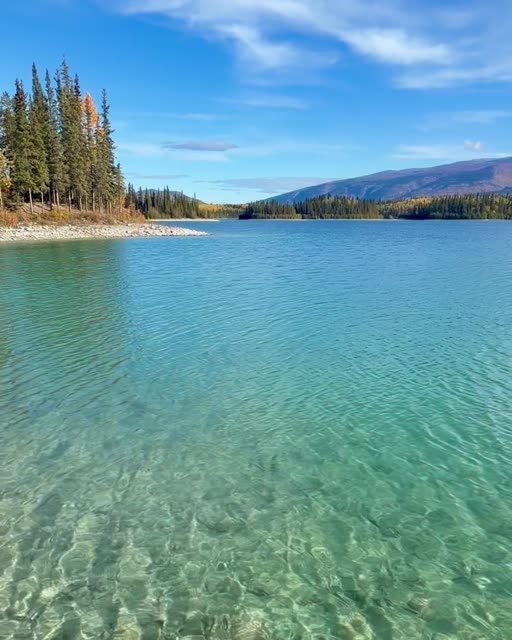 Turquoise Shoreline at Boya Lake